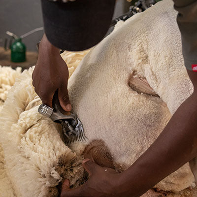 SHEARING