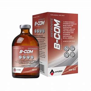 ANTROVITE  B-COM 100ML