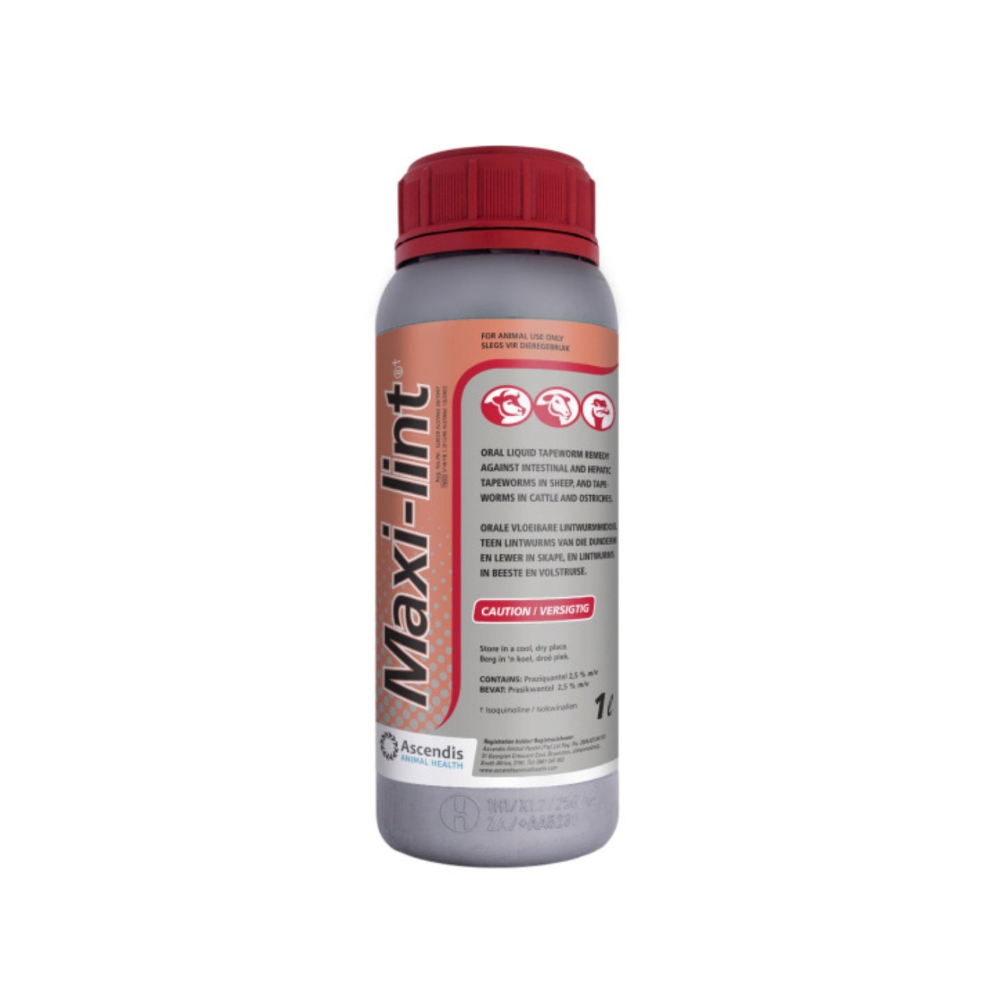MAXI-LINT 1L