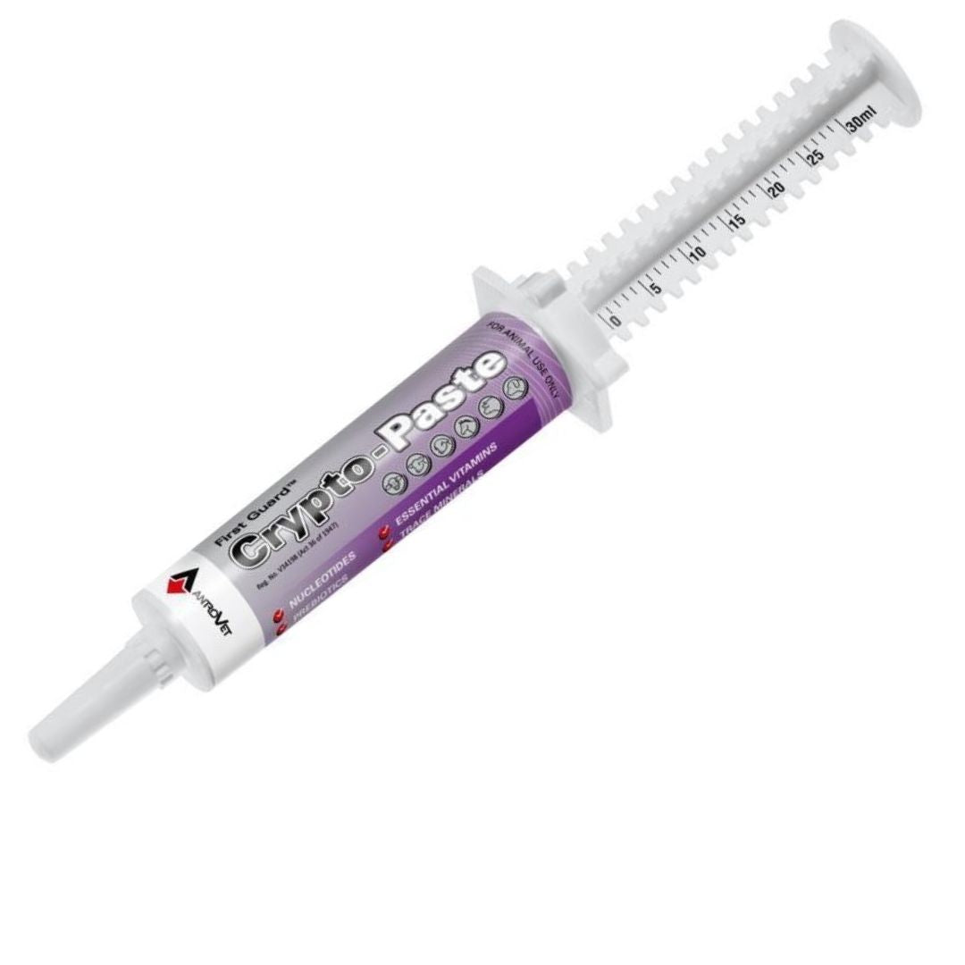ANTROVET CRYPTO-PASTE 30G