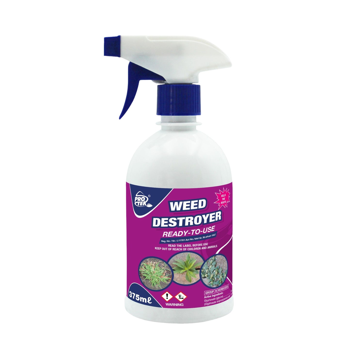INSECT DESTROYER 100ML