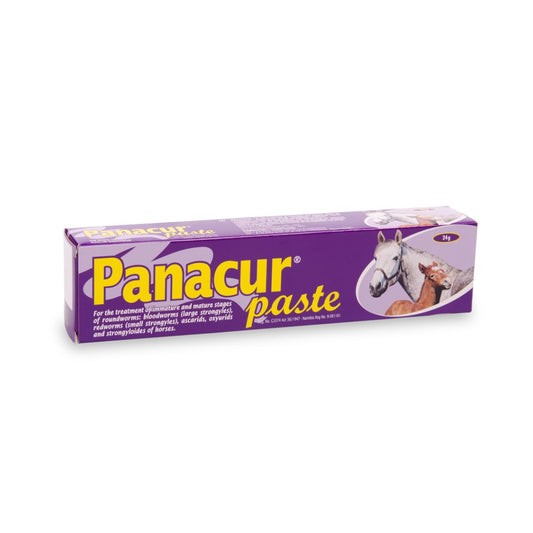 MSD PANACUR PASTE FOR HORSES 24G