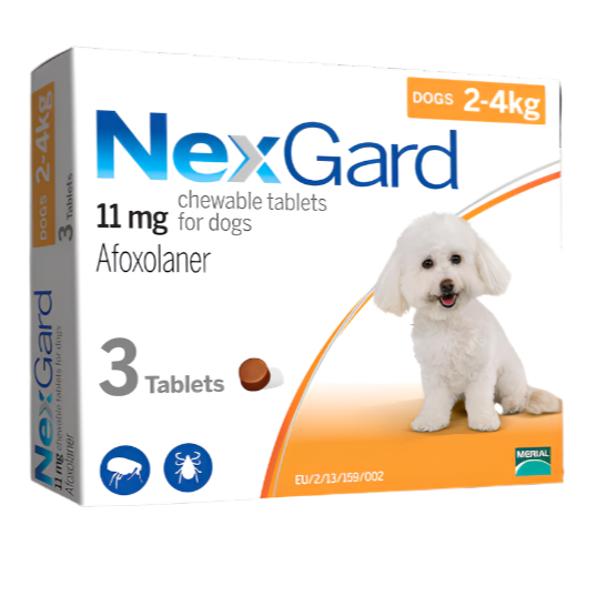 NEXGARD 2-4KG S 0.5G 1 CHEW