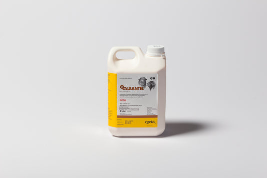 ZOETIS VALBANTEL 2L