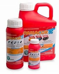 MSD PANACUR BS 200ML