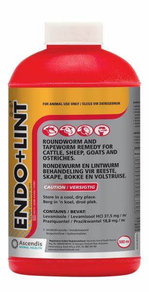 ENDO+LINT 500ML – BKB Online Retail Shop