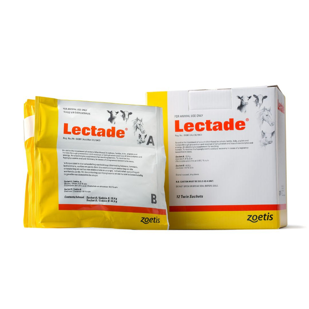 Lectade ZOETIS LECTADE EACH – bkbonline