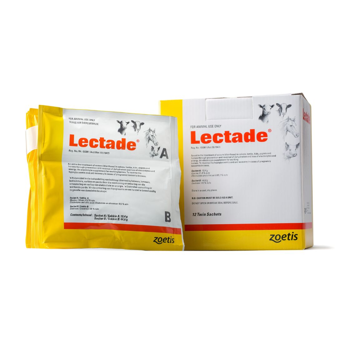 ZOETIS LECTADE EACH