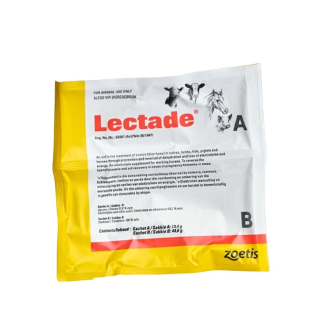 Lectade ZOETIS LECTADE SACHET – BKB Online Retail Shop
